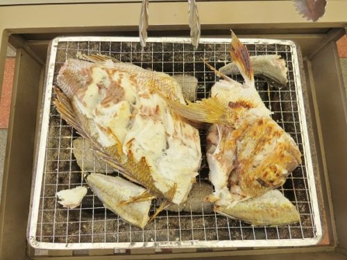 八景島シーパラダイス「うみファーム」で釣り上げ、自分で塩焼きにしたマダイとマアジ