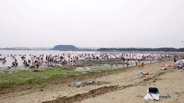 横浜「海の公園」で潮干狩り 干潮時の浜辺の混雑具合